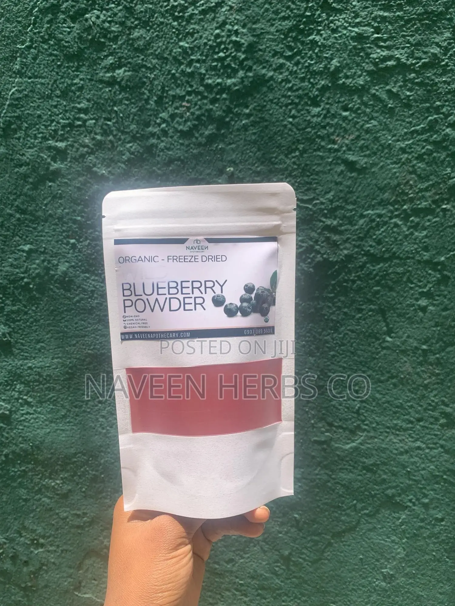 Premium Blueberry Fruit Powder - 50g