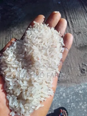 Abakaliki Rice 50kg (10painters)