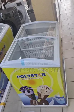New Polystar 303l Display Chiller Freezer for Business 2yrs
