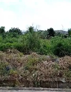Two Plots of Land for Sale