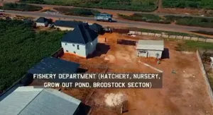 Farm For Sale