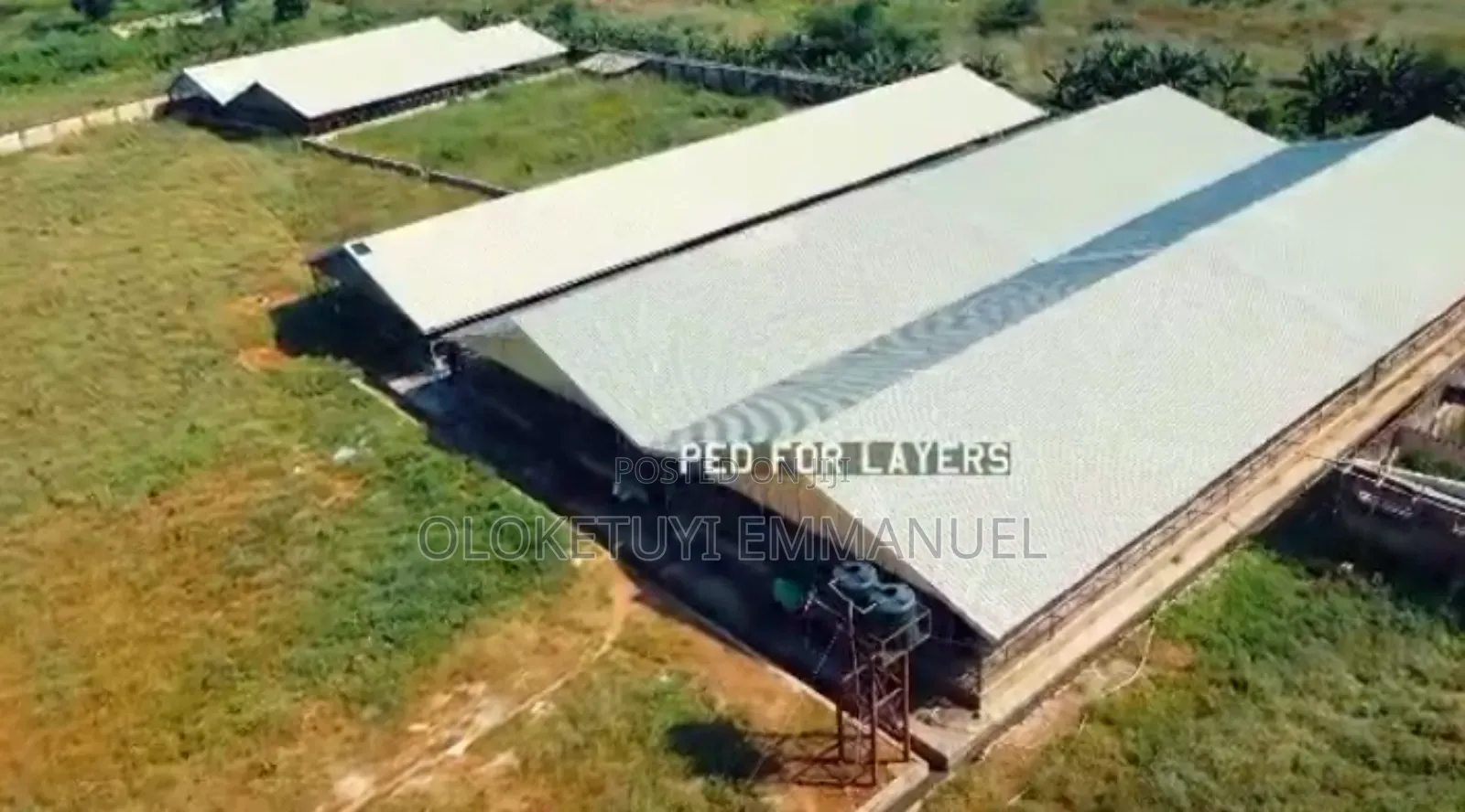 Farm For Sale