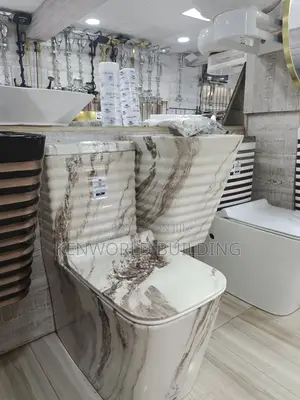 Back to Wall Wc Luxurious and Quality Product