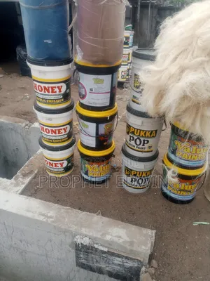 All Products Paint