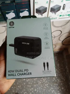 Green Lion Wall Charger