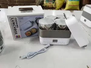 Double Layer Electric Lunchbox