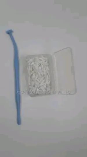 Brush +Handle Disposable