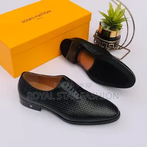 Louis Vuitton Quality Shoe for Men