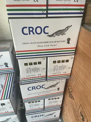 Solar Gel Battery Croc