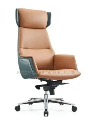 Executive Director Office Chair