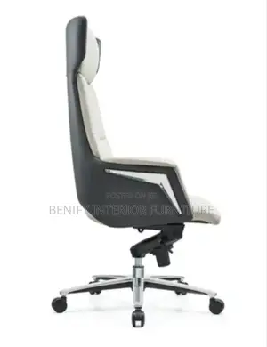 Executive Director Office Chair