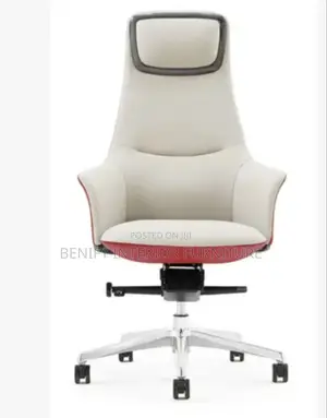 Ergonomic Executive Director Office Chair