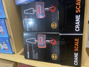 500kg Crane Scale