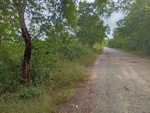 500 Acres of Land for Sale Along Abeokuta Ibadan Road