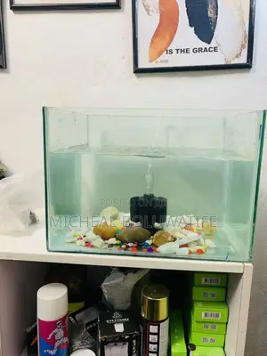 Aquarium Fish