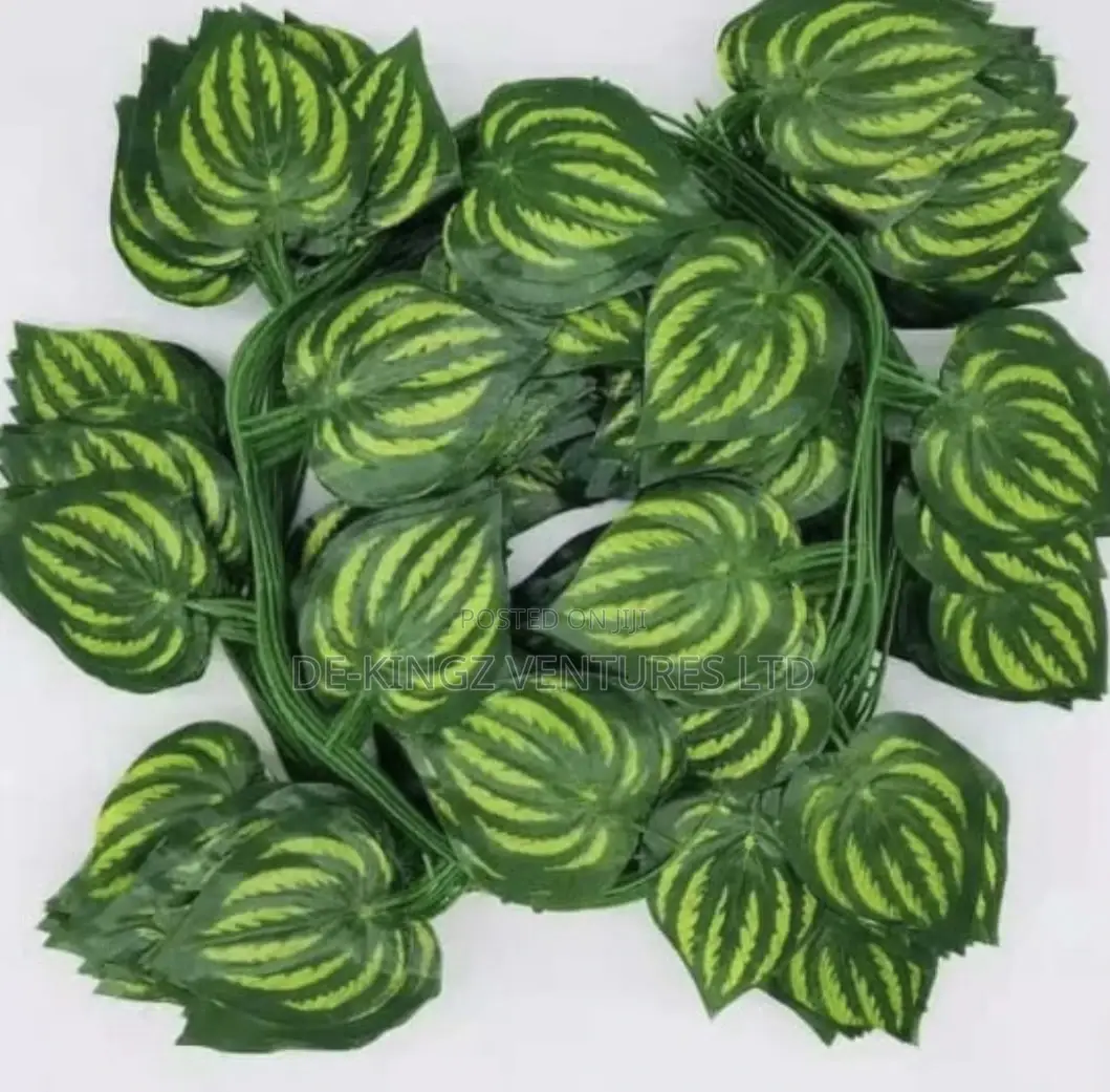 Dropping Flower Garlands / Pay on Delivery Options