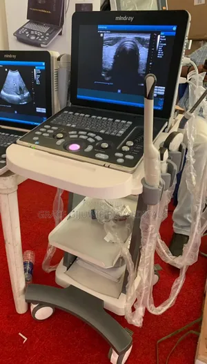 Mindray Z60