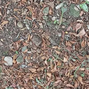 A Very Dry Land Measuring 370sqm