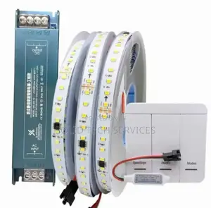 Profile Running Tape Light With Remote and Choke