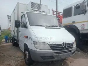 Mercedes Benz Sprinter Cooling Mini Truck