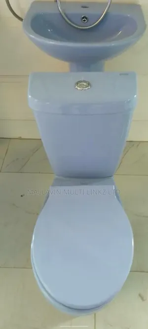 Colored Wc Toilet Seat and Pedestal Basin