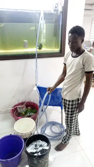 Aquarium Cleaning/Servicing