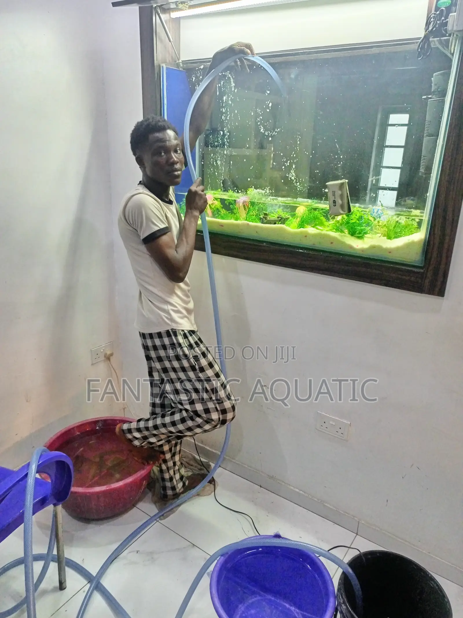 Aquarium Cleaning/Servicing