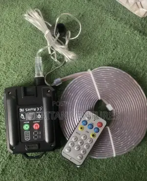 Remote Christmas Light