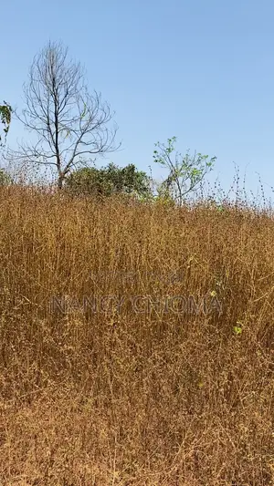 Land for Sale at Independent Layout