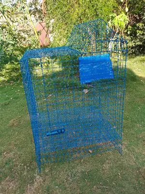 Pet Dog Cage