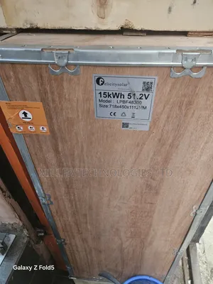 15kwh 51.2V Felicity Lithium Model: Lpbf48300 for Heavy Back