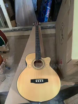 Photo - Semi Acoustic Bass Guitar