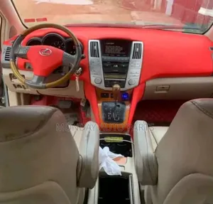 Interior Coating for Rx330 Lexus