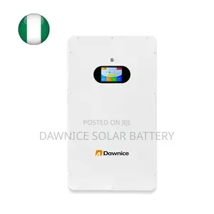 Dawnice 10 Killowatts 51.2V Power Wall Mounted Solar Battery