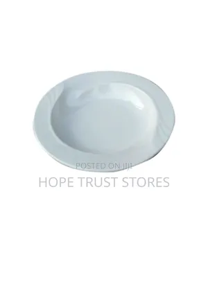 12pcs of Deep Melamine Plate Big