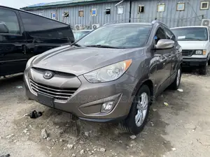 Hyundai Tucson 2013 Brown
