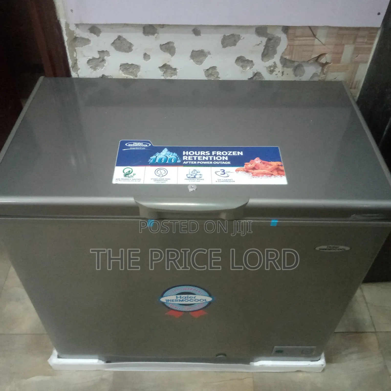 Thermocool Freezer 200has Silver