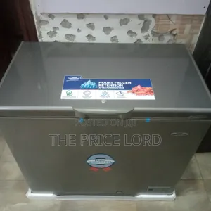 Thermocool Freezer 200has Silver