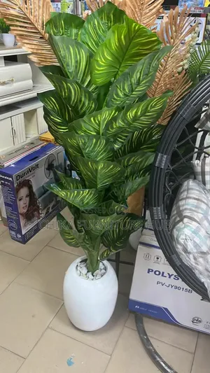 Flower Plant
