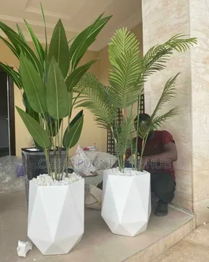 Fibre Flower Plants
