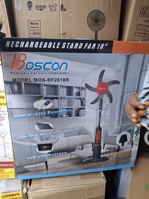 Boscon Rechargeable Standing Fan 18"