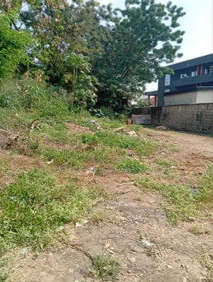 Land at Mixed Development