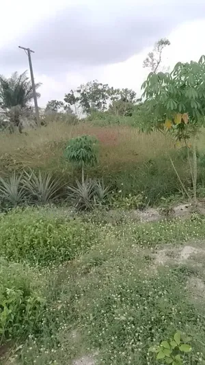 Land Oregun