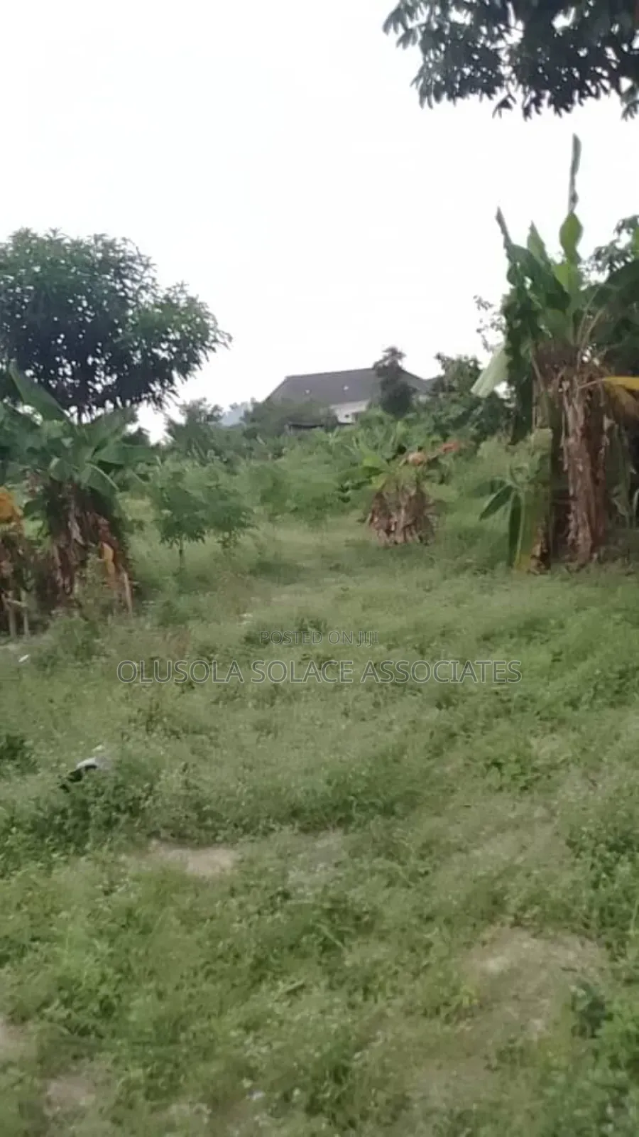 Land Oregun