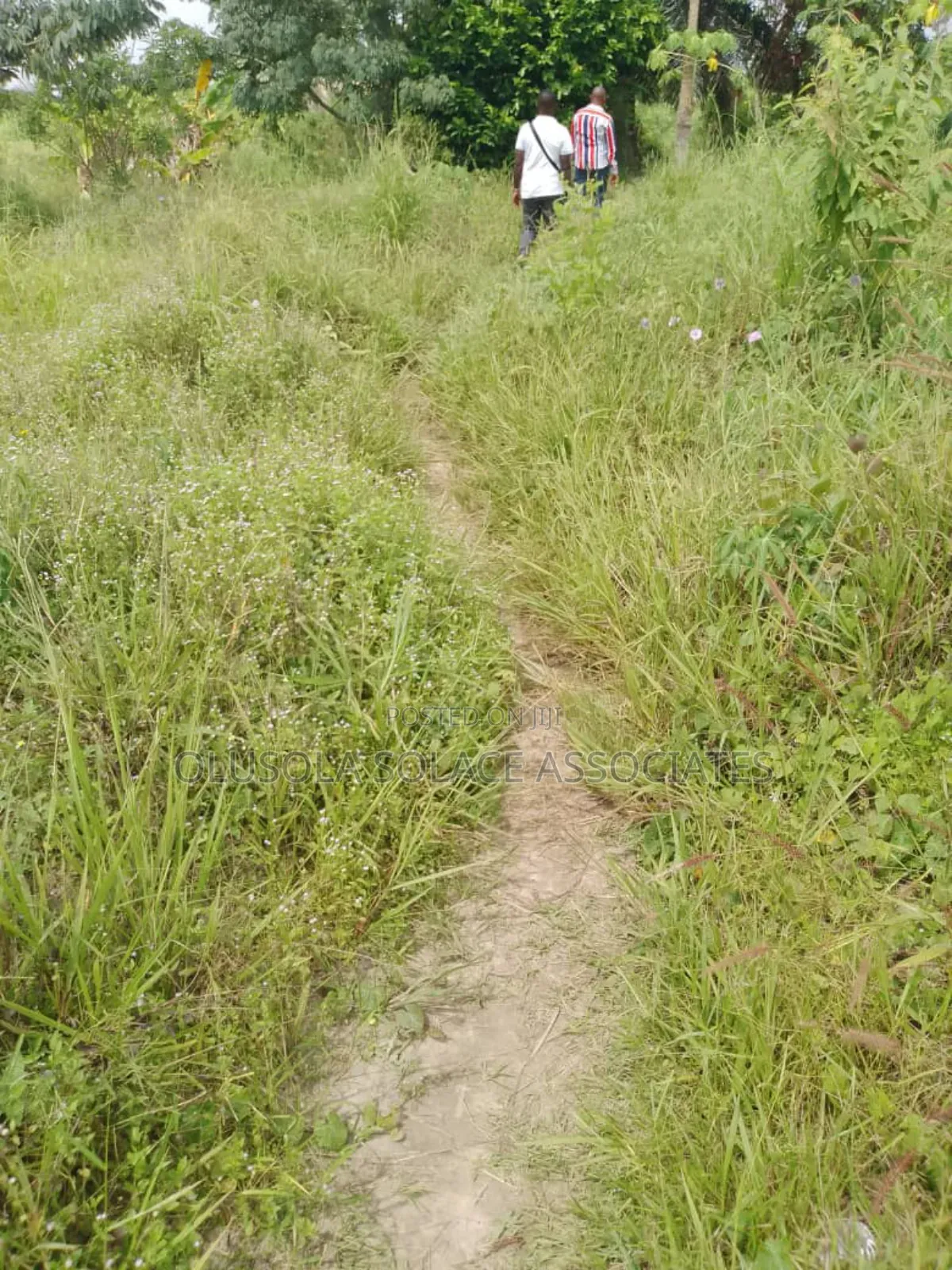 Land Oregun