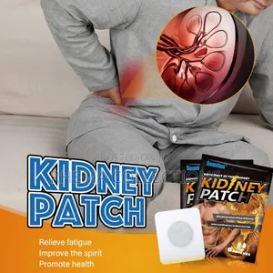 6pcs Sumifun Kidney Care Patch