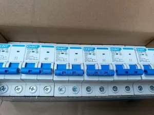 Chint 100A MCB 2pole