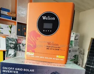 Welion Inverter 4.2kw 24V Hybrid