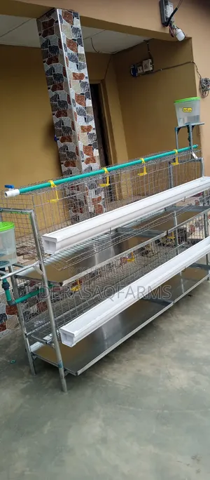 Photo - Two Steps Cage for Broiler and Layers