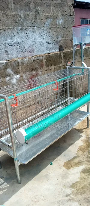 Backyard Cage for Broiler